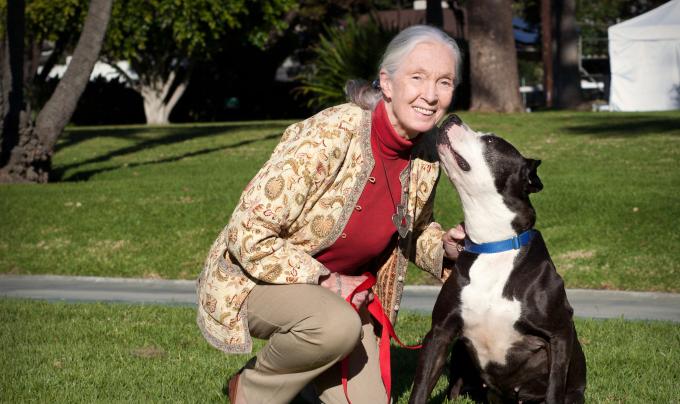 Jane Goodall kneeling down beside a black and white dog